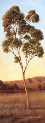 Picture of LONELY EUCALYPTUS I