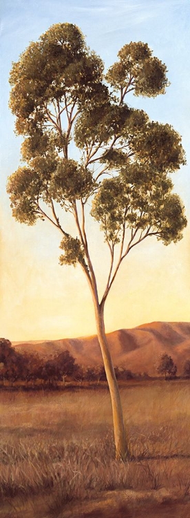 Picture of LONELY EUCALYPTUS I
