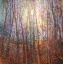 Picture of CONTRALLUM