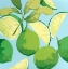Picture of FRESH LIMES