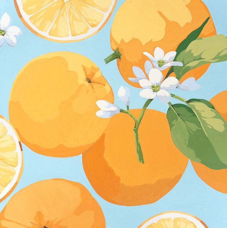 Picture of FRESH ORANGES