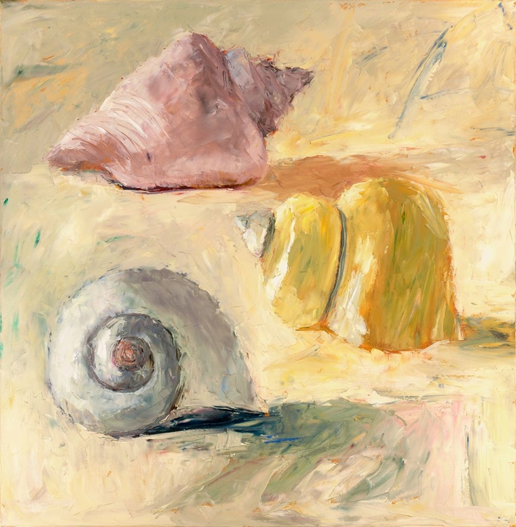 Picture of SHELLS II