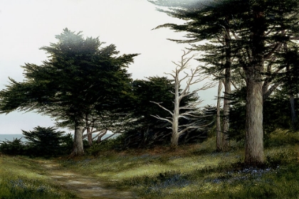 Picture of CYPRESS POINT