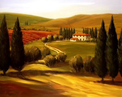 Picture of THROUGH THE HILLS OF TUSCANY
