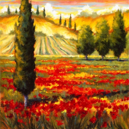 Picture of TUSCANY IN BLOOM II