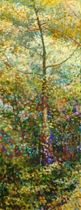 Picture of SPRING GLADE II