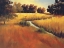 Picture of MEANDERING STREAM