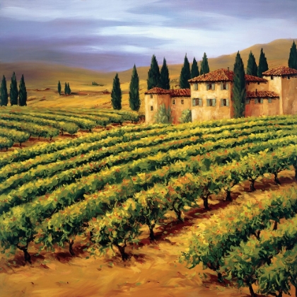 Picture of VILLA IN THE VINYARDS OF TUSCANY