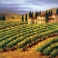 Picture of VILLA IN THE VINYARDS OF TUSCANY