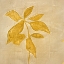 Picture of LEAF FRESCO 4