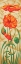Picture of POPPIES II