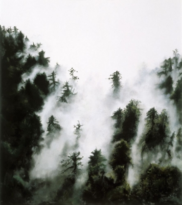 Picture of FOG AND REDWOODS
