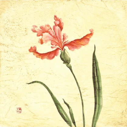 Picture of RED BOTANICAL