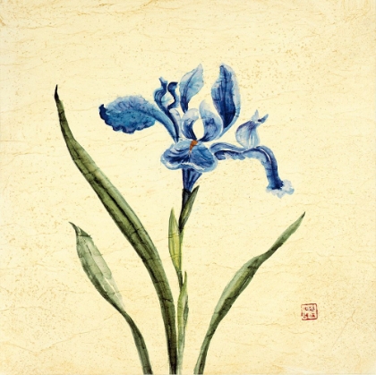 Picture of BLUE BOTANICAL
