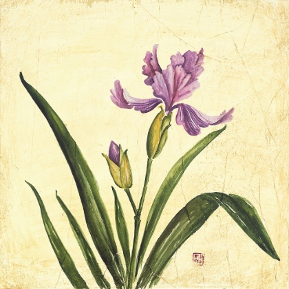 Picture of PURPLE BOTANICAL II