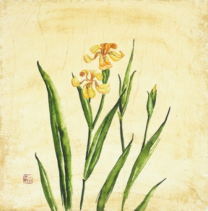 Picture of YELLOW BOTANICAL II