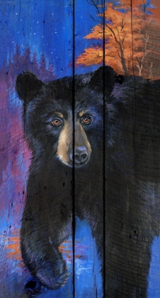 Picture of BLUE BEAR