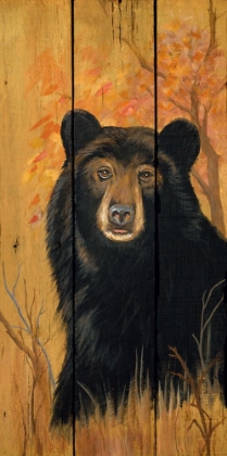 Picture of BEAR