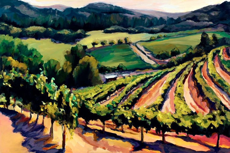 Picture of KIEKEN VINEYARD