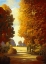 Picture of PATTIS AUTUMN