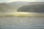 Picture of NATURE III
