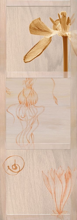 Picture of BOTANICAL STUDY ON WOOD GRAIN PANEL II