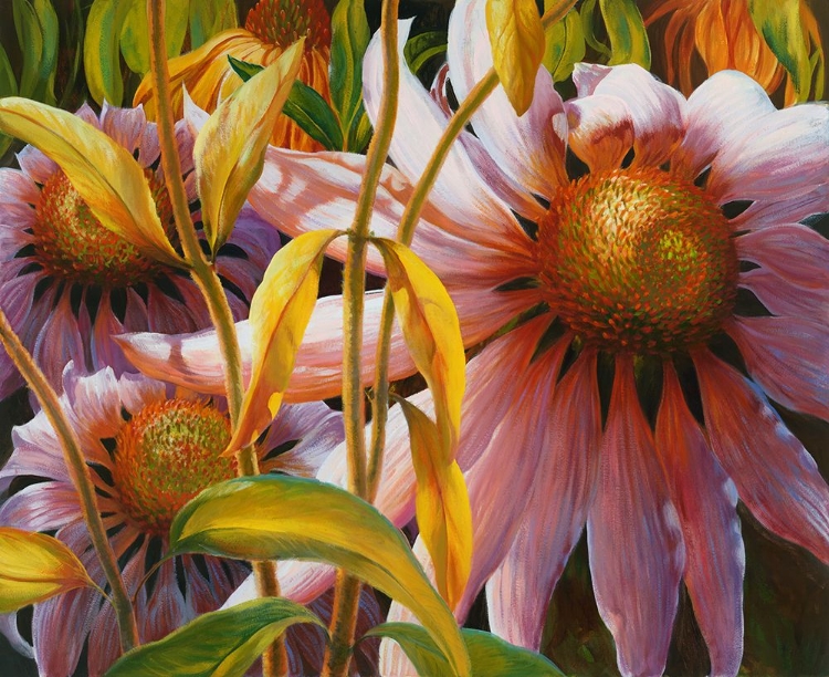 Picture of PRAIRIE POSIES