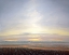 Picture of COTTON ROWS