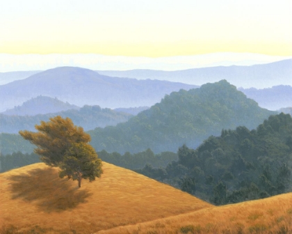 Picture of HILLS OF MARIN