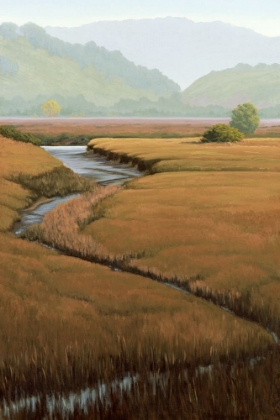 Picture of ZIGZAG THROUGH THE MEADOW
