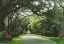 Picture of SOUTHERN SOJOURNS