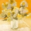 Picture of WHITE HYDRANGEA BOUQUET