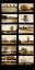 Picture of TWELVE TREES