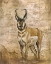 Picture of NATIVE SPIRIT 3
