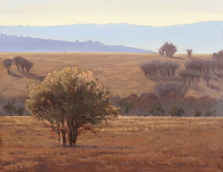 Picture of TREES IN DRY FIELDS