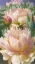 Picture of JUNE BLOOMS