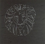 Picture of PANTHERA LEO