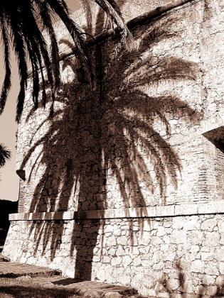 Picture of ANTIBES PALM