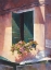 Picture of GREEN SHUTTERS