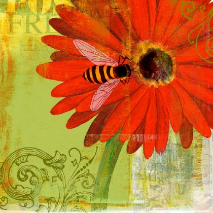 Picture of RED DAISY WITH BEE