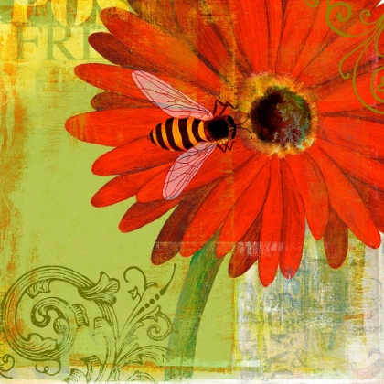 Picture of RED DAISY WITH BEE
