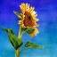 Picture of HIGHWAY SUNSHINE