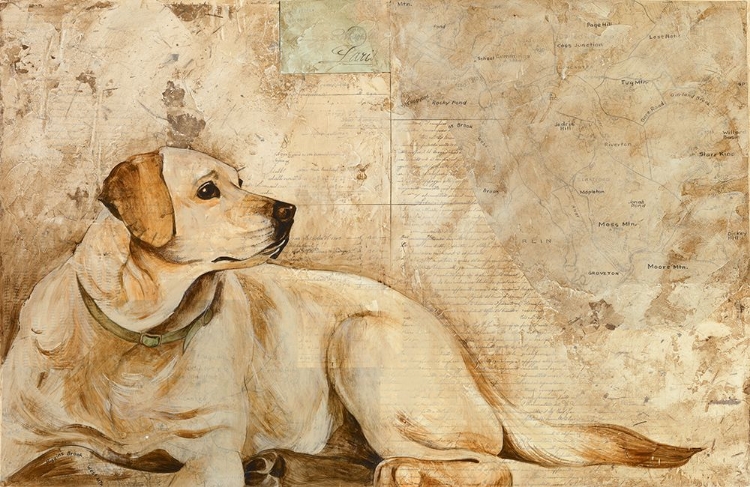 Picture of A DOGS STORY 3