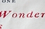 Picture of WONDER