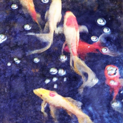 Picture of KOI 2