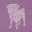 Picture of PUG TYPE 2B
