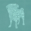 Picture of PUG TYPE 2C