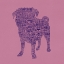 Picture of PUG TYPE 2D