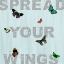 Picture of SPREAD YOUR WINGS