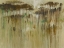 Picture of CANOPY 3